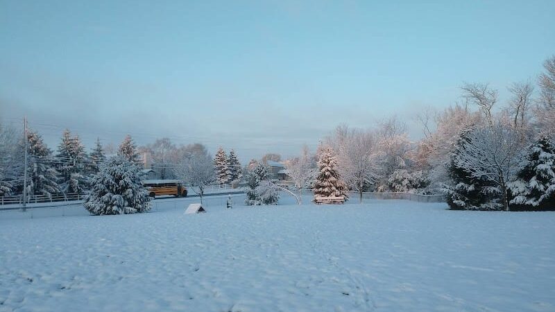 Waggin' Tails Bark Park - Indianapolis, IN