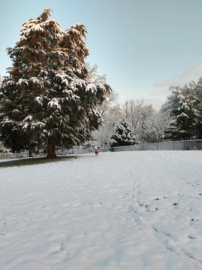 Waggin' Tails Bark Park - Indianapolis, IN
