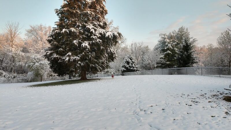 Waggin' Tails Bark Park - Indianapolis, IN