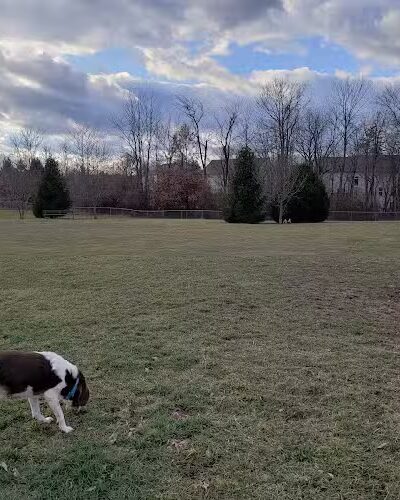 Waggin' Tails Bark Park - Indianapolis, IN