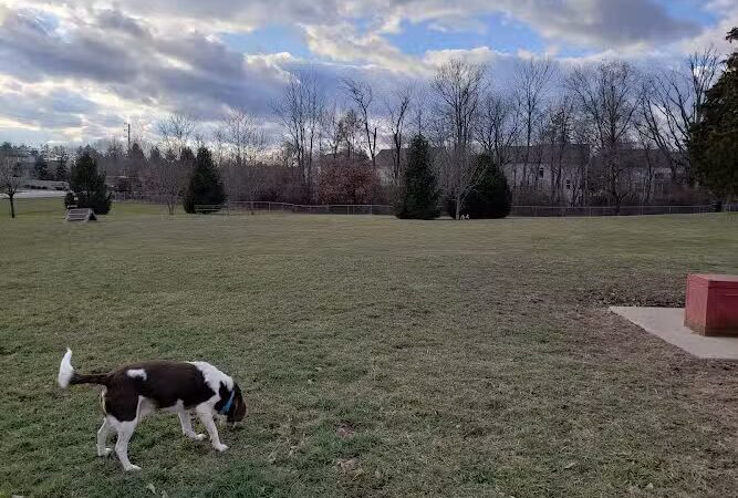 Waggin' Tails Bark Park - Indianapolis, IN