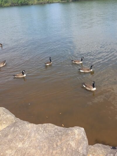 Anchor Park - Inman, SC