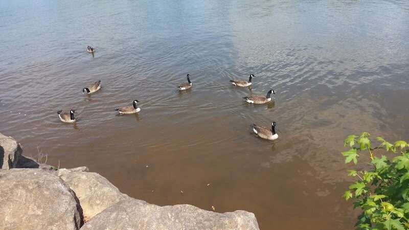 Anchor Park - Inman, SC