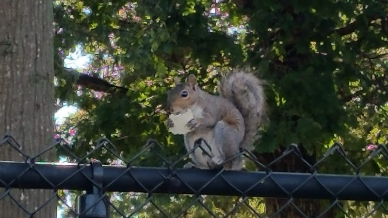 Anchor Park - Inman, SC