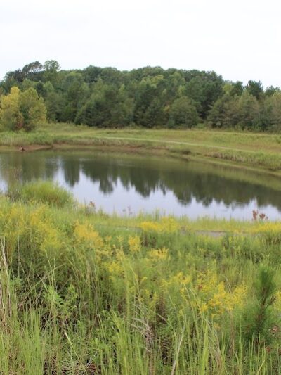 Holston Creek Park - Inman, SC