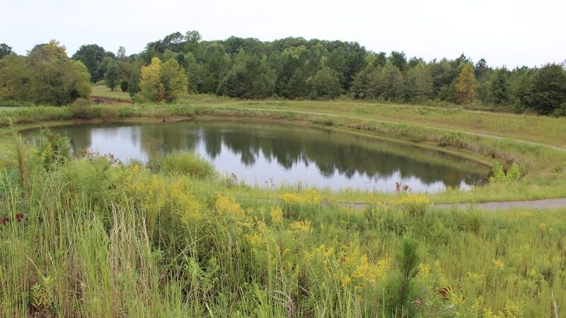 Holston Creek Park - Inman, SC