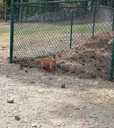 Irondale Dog Park - Irondale, AL