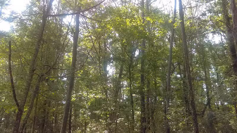 Irondale Dog Park - Irondale, AL