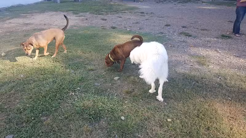Irondale Dog Park - Irondale, AL