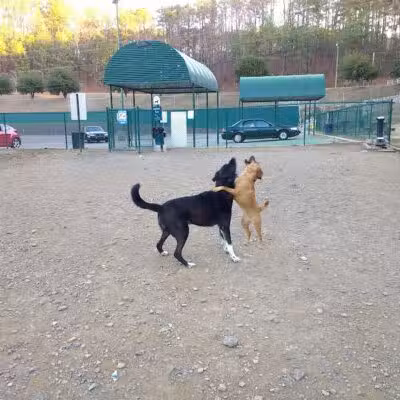 Irondale Dog Park - Irondale, AL