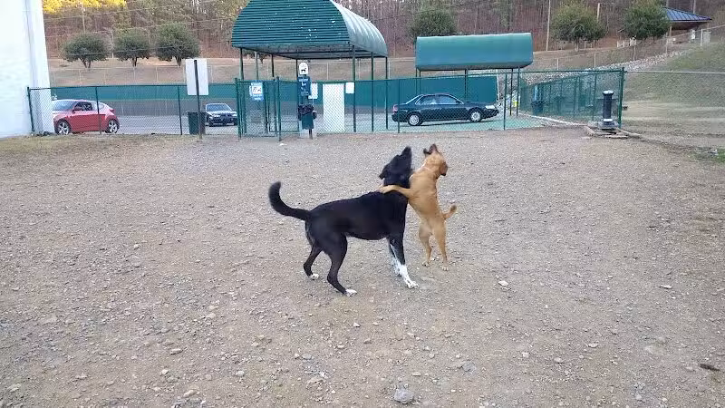 Irondale Dog Park - Irondale, AL