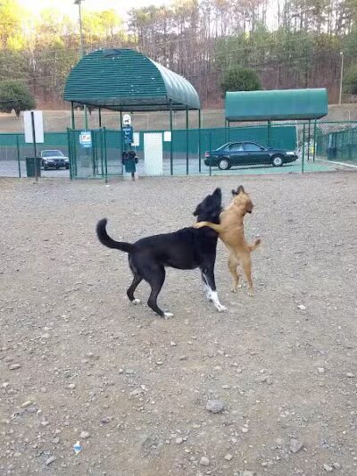 Irondale Dog Park - Irondale, AL