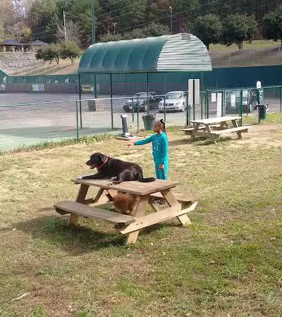 Irondale Dog Park - Irondale, AL