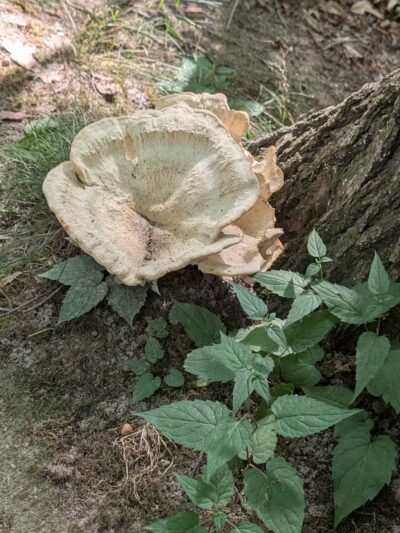 Irondequoit Bay Park West - Irondequoit, NY