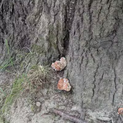 Irondequoit Bay Park West - Irondequoit, NY
