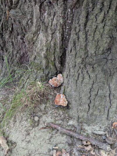 Irondequoit Bay Park West - Irondequoit, NY