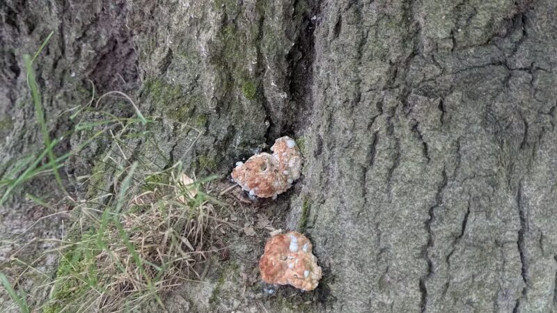 Irondequoit Bay Park West - Irondequoit, NY