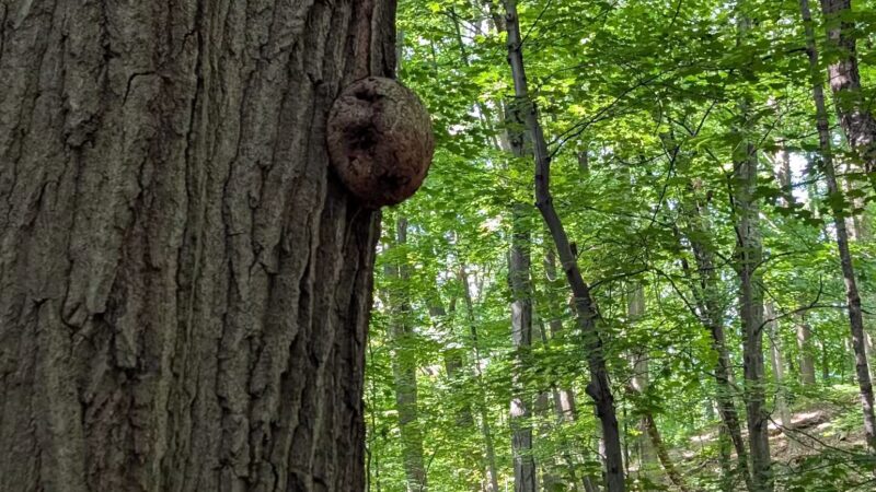 Irondequoit Bay Park West - Irondequoit, NY