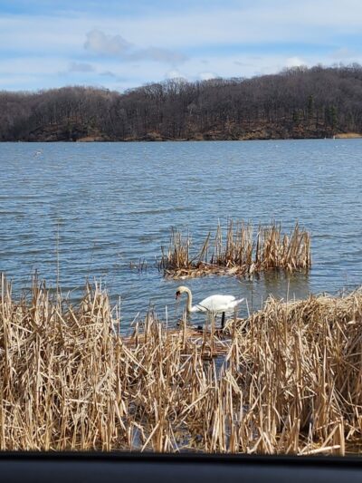 Irondequoit Bay Park West - Irondequoit, NY