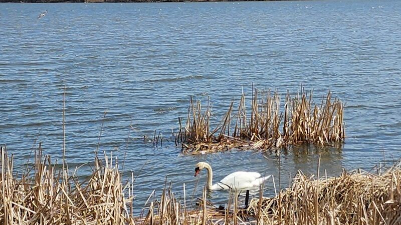 Irondequoit Bay Park West - Irondequoit, NY