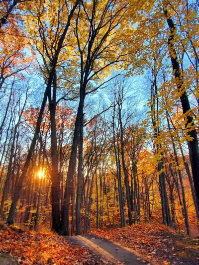 Irondequoit Bay Park West - Irondequoit, NY