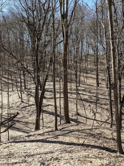 Irondequoit Bay Park West - Irondequoit, NY