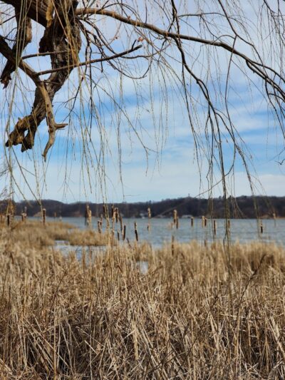 Irondequoit Bay Park West - Irondequoit, NY