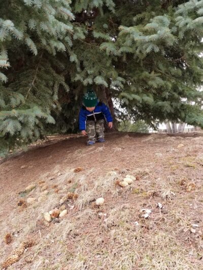 Joshua Park - Irondequoit, NY