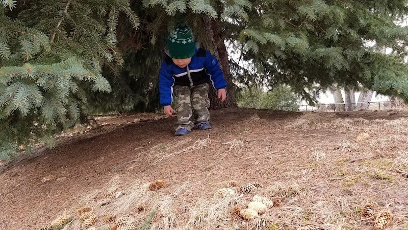 Joshua Park - Irondequoit, NY