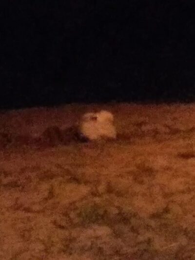 Little Beach Village of Island Park - Island Park, NY