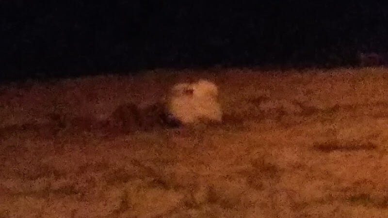 Little Beach Village of Island Park - Island Park, NY