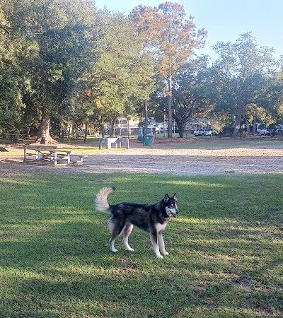 Bark Park - Isle of Palms, SC