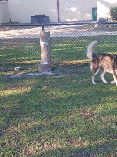 Bark Park - Isle of Palms, SC