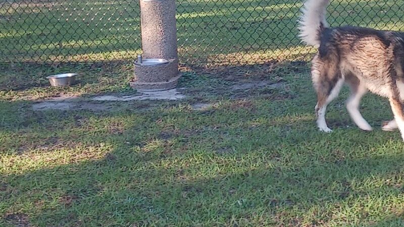 Bark Park - Isle of Palms, SC