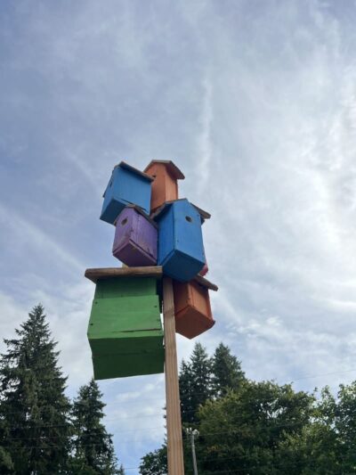 Issaquah Dog Park - Issaquah, WA