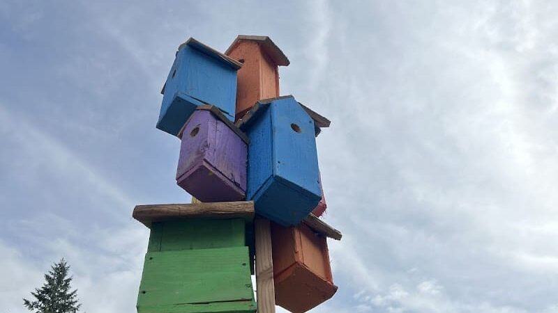 Issaquah Dog Park - Issaquah, WA