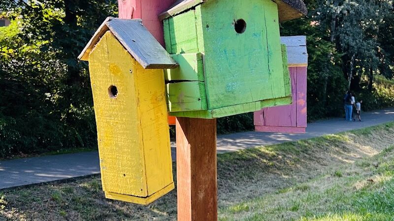 Issaquah Dog Park - Issaquah, WA