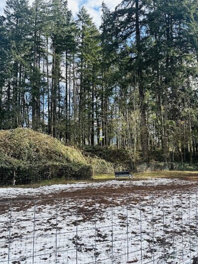 Issaquah Dog Park - Issaquah, WA