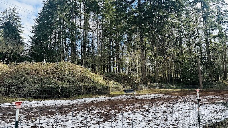 Issaquah Dog Park - Issaquah, WA