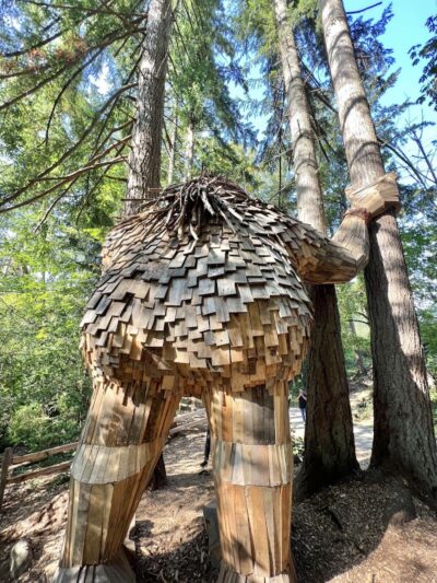 Issaquah Dog Park - Issaquah, WA