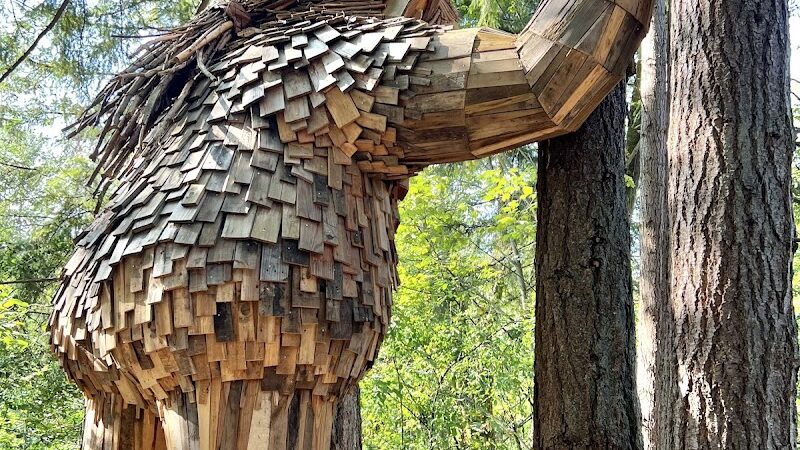 Issaquah Dog Park - Issaquah, WA