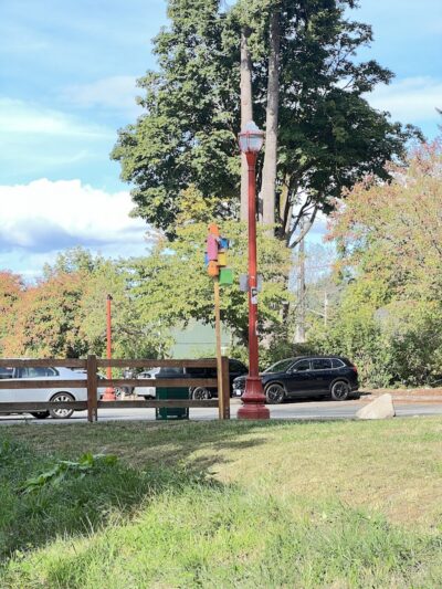 Issaquah Dog Park - Issaquah, WA