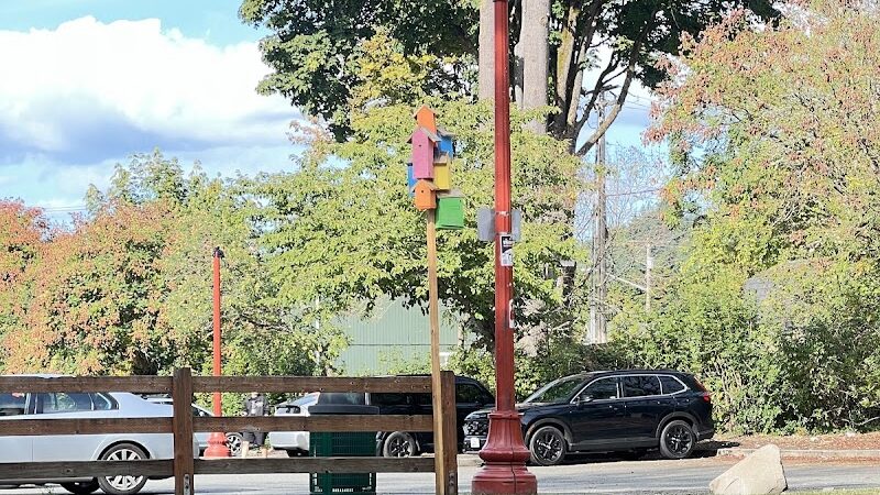 Issaquah Dog Park - Issaquah, WA