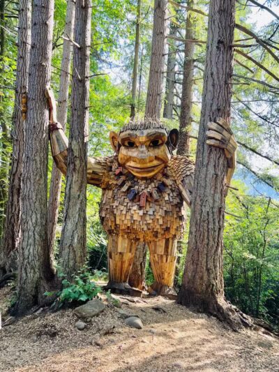 Issaquah Dog Park - Issaquah, WA