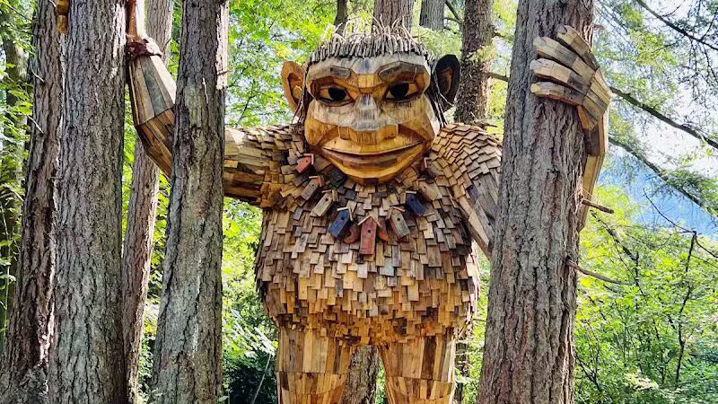 Issaquah Dog Park - Issaquah, WA