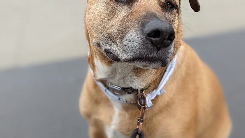 Travers Park - Jackson Heights, NY