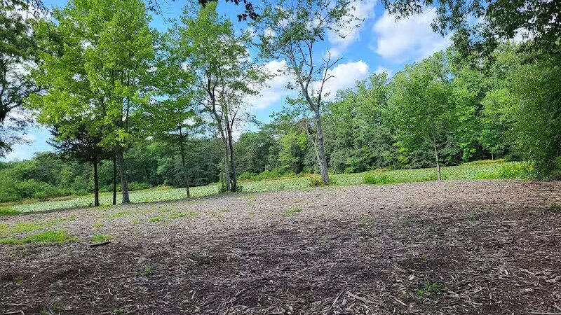 Jackson Lake Park - Jackson Township, NJ