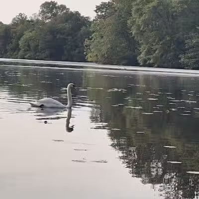 Jackson Lake Park - Jackson Township, NJ