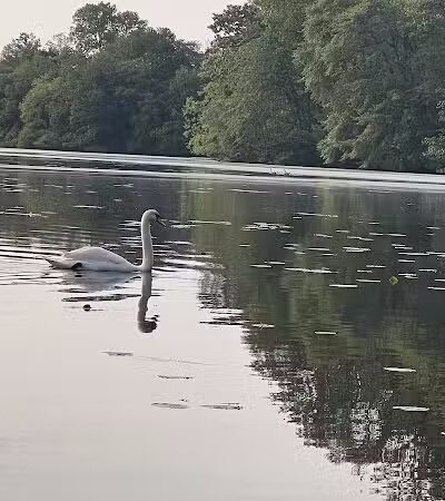 Jackson Lake Park - Jackson Township, NJ