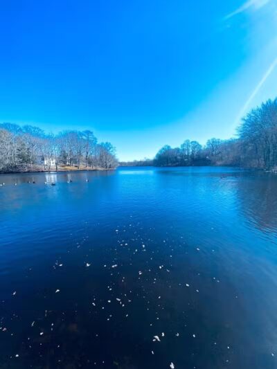 Jackson Lake Park - Jackson Township, NJ